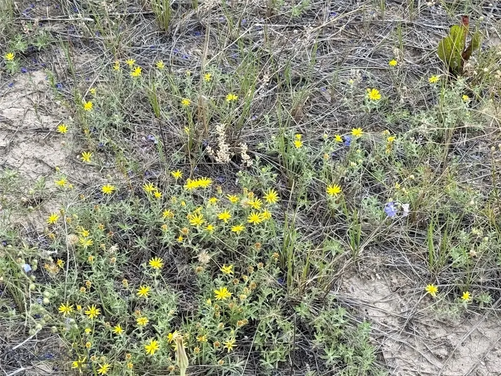 40 Buffalo Jump Trail Toston MT 59643