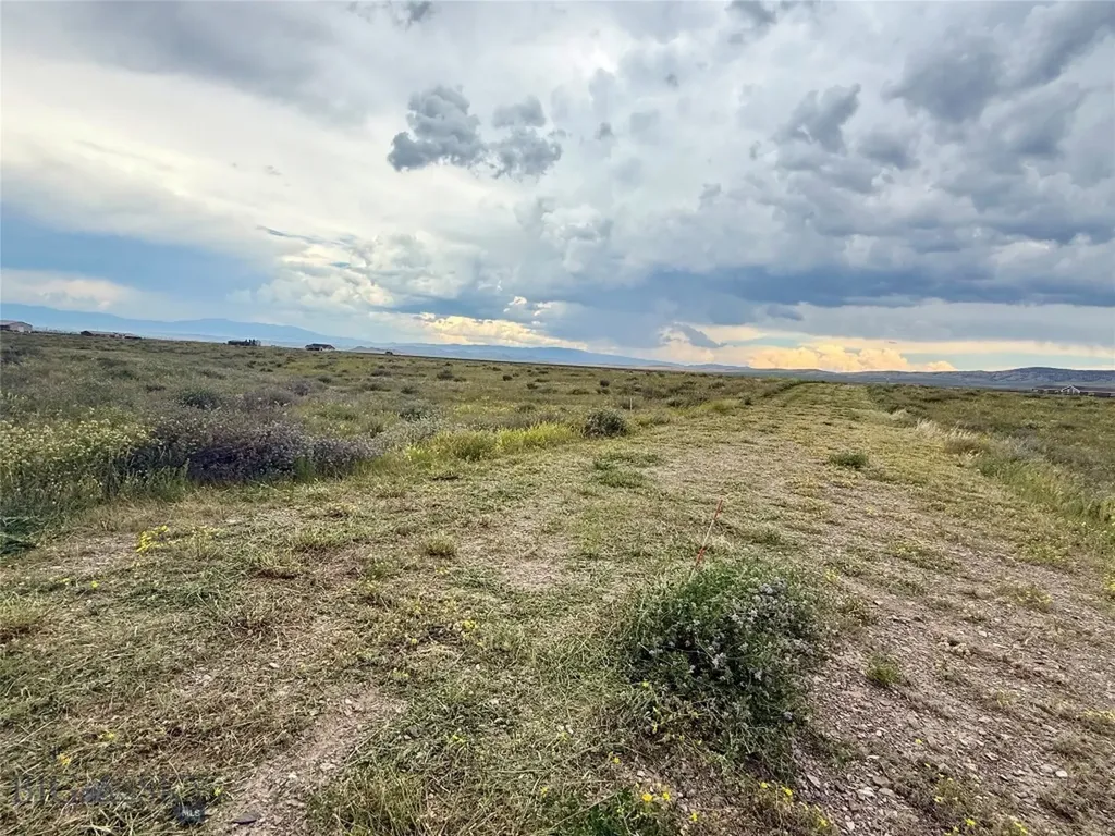 40 Buffalo Jump Trail Toston MT 59643