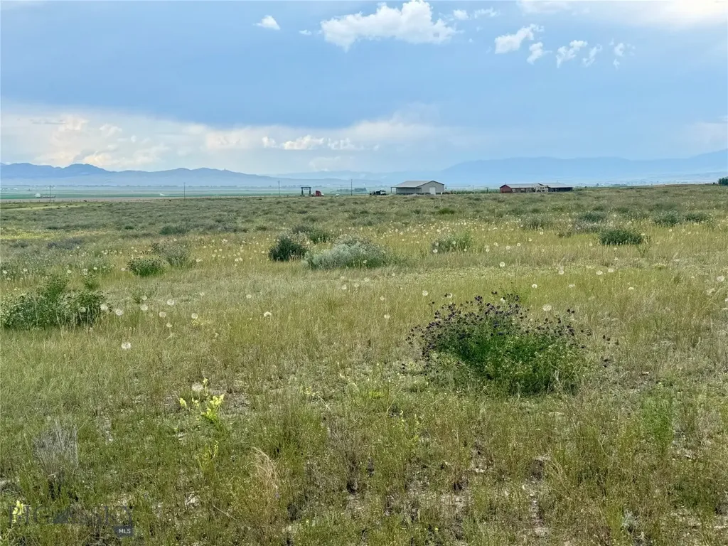 40 Buffalo Jump Trail Toston MT 59643