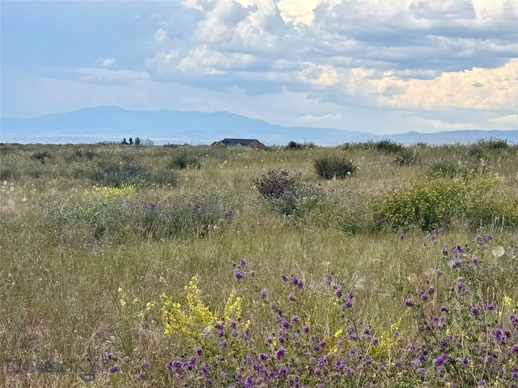 40 Buffalo Jump Trail Toston MT 59643