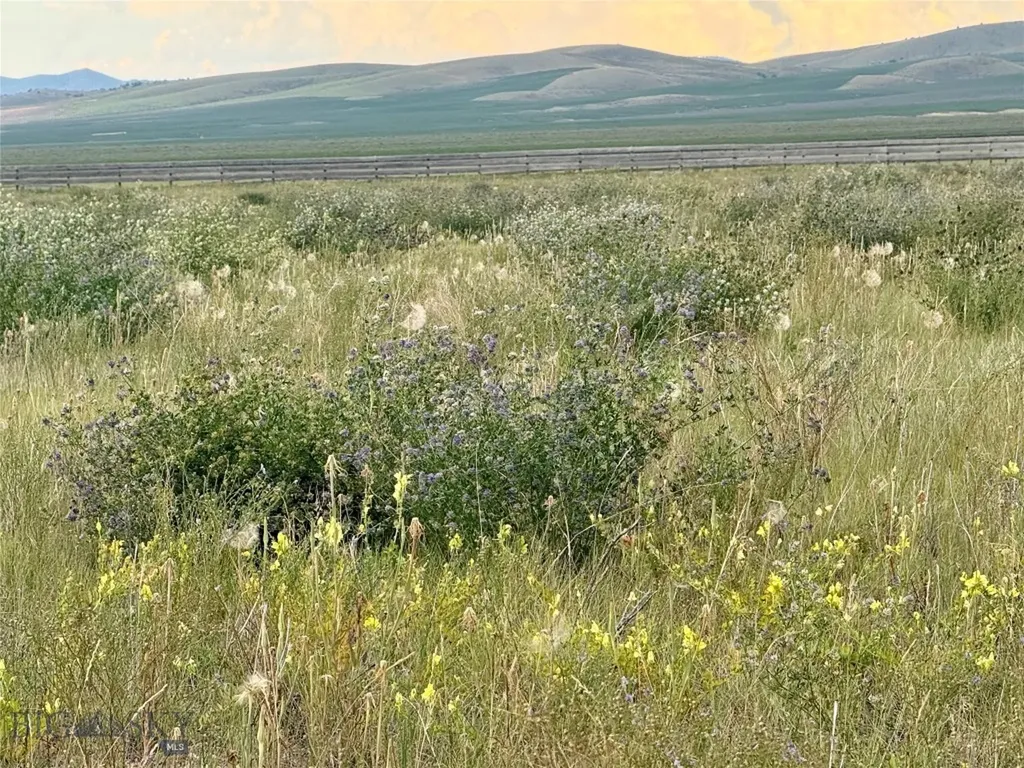 40 Buffalo Jump Trail Toston MT 59643