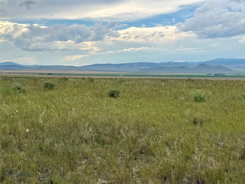 40 Buffalo Jump Trail Toston MT 59643