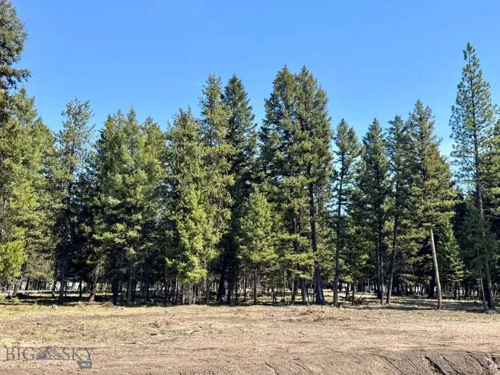 134 Nordic Way Seeley Lake MT 59868