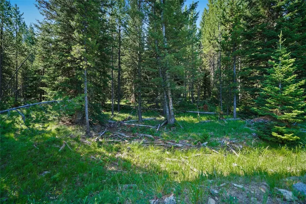 Tbd Bitterbrush Trail Lot 47 Big Sky MT 59716