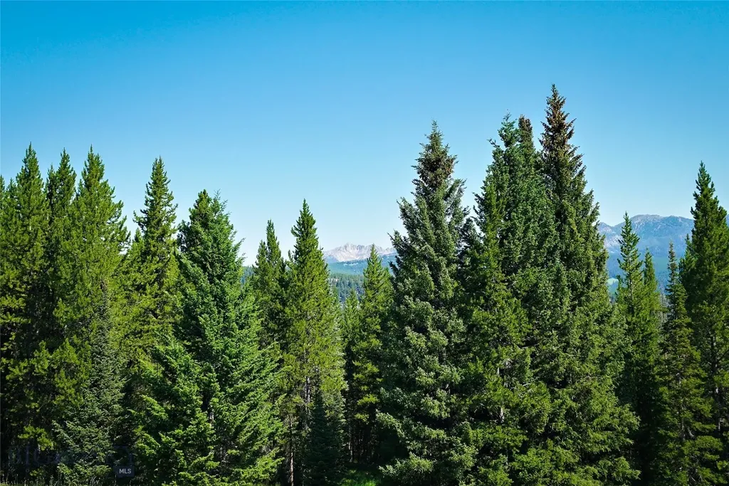 Tbd Bitterbrush Trail Lot 47 Big Sky MT 59716