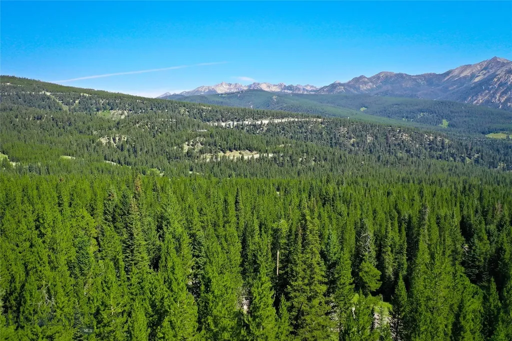 Tbd Bitterbrush Trail Lot 47 Big Sky MT 59716