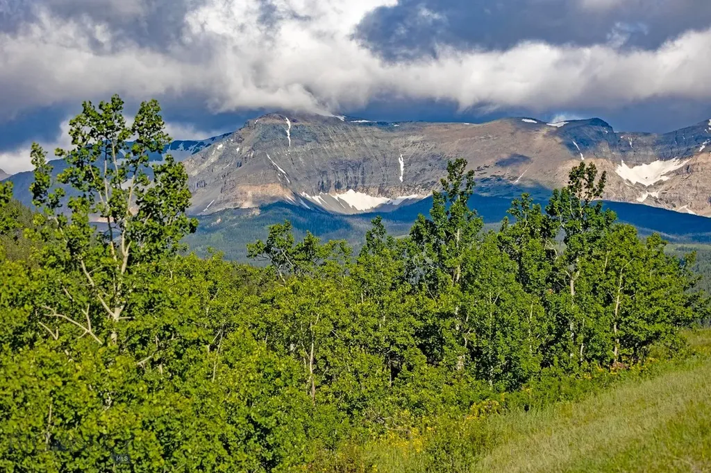 Tbd Cut Bank Road Browning MT 59417