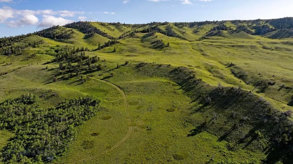 Tbd Cut Bank Road Browning MT 59417