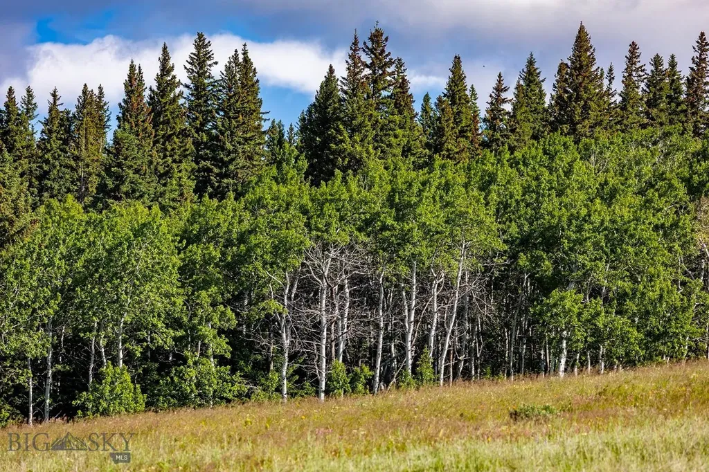 Tbd Cut Bank Road Browning MT 59417