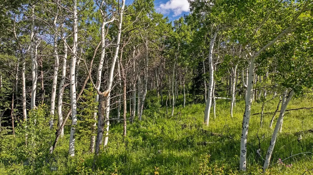 Tbd Cut Bank Road Browning MT 59417