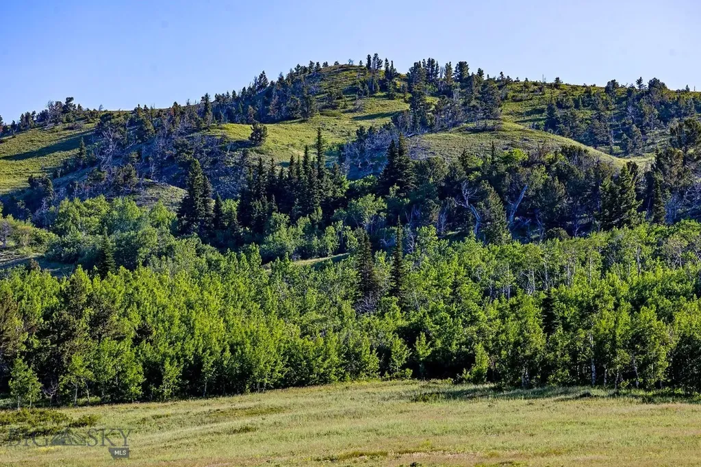 Tbd Cut Bank Road Browning MT 59417