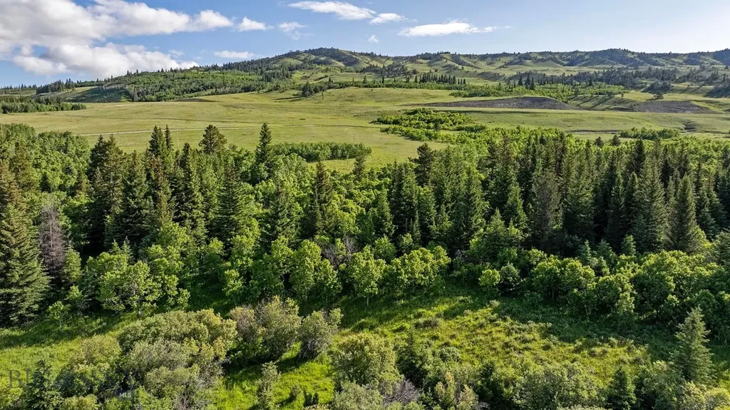 Tbd Cut Bank Road Browning MT 59417