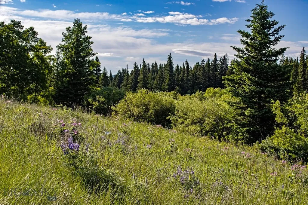 Tbd Cut Bank Road Browning MT 59417
