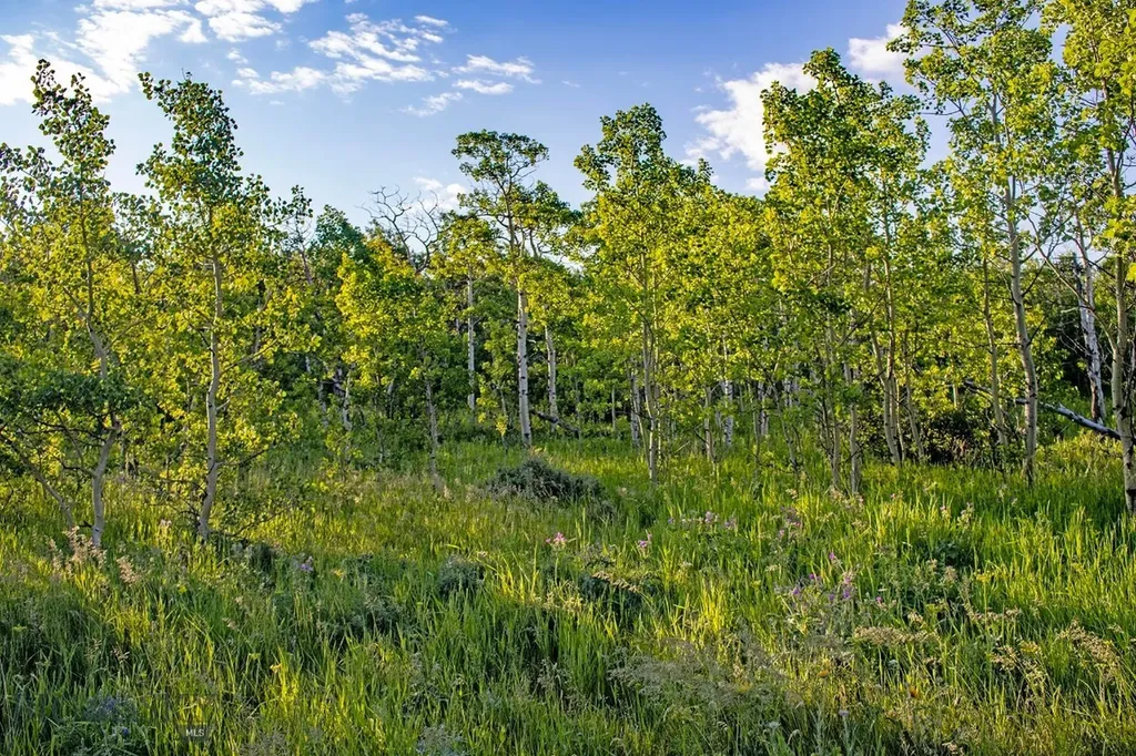Tbd Highway 89 Browning MT 59417