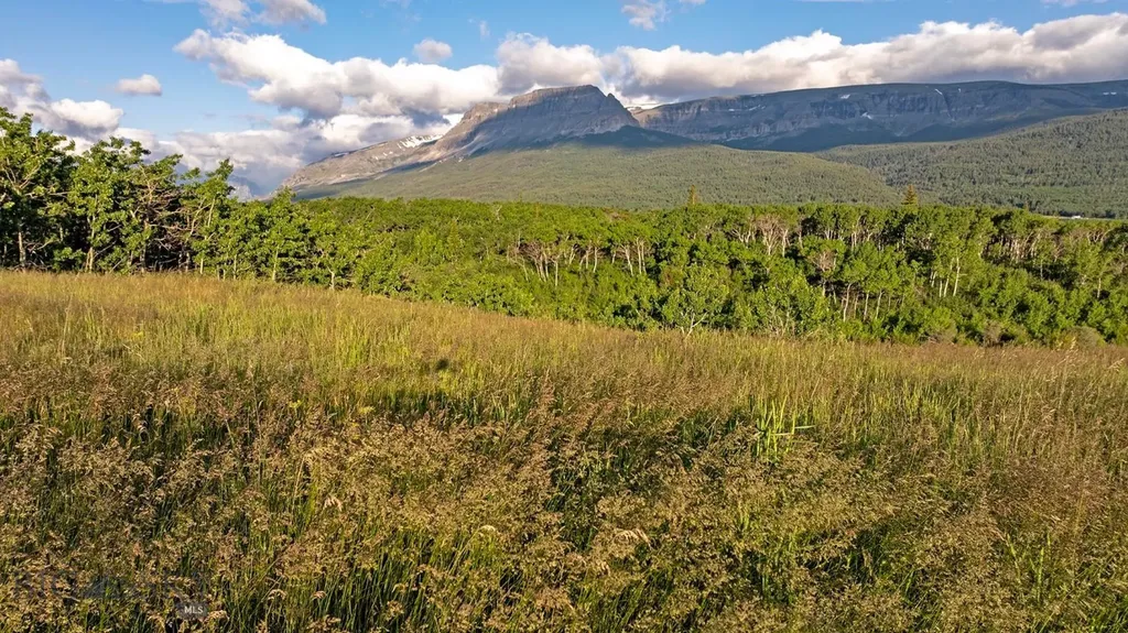Tbd Highway 89 Browning MT 59417