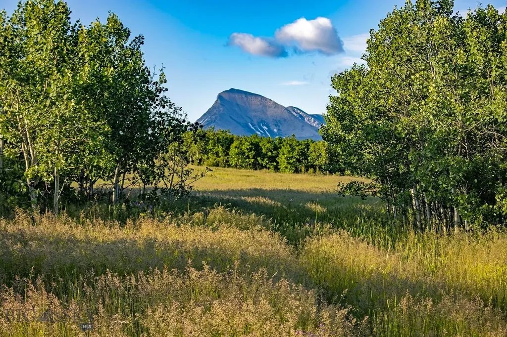 Tbd Highway 89 Browning MT 59417