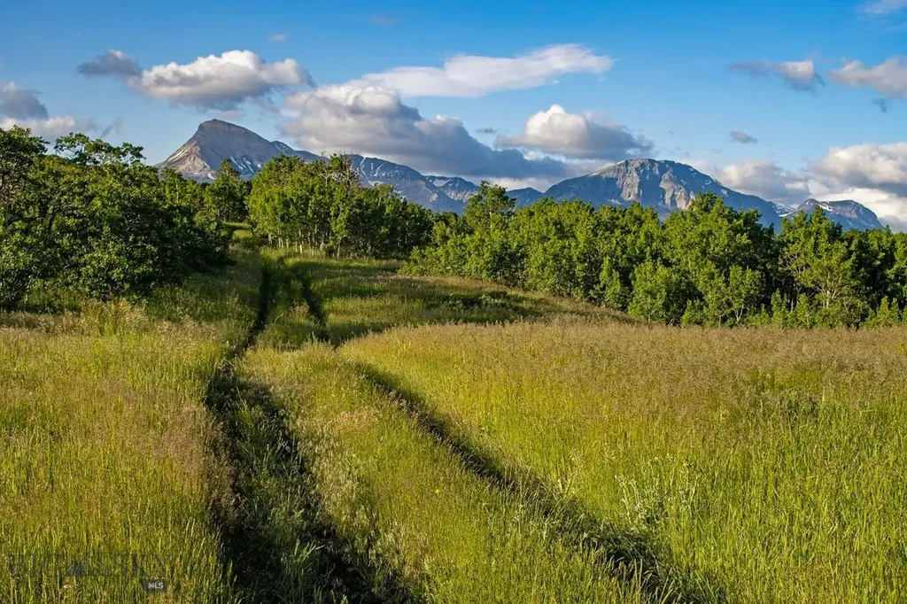 Tbd Highway 89 Browning MT 59417