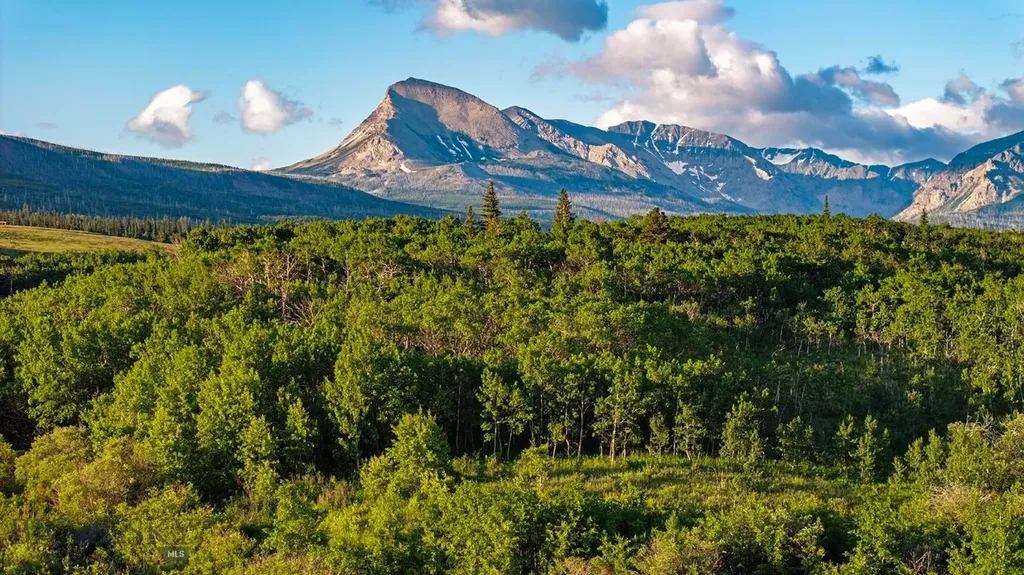 Tbd Highway 89 Browning MT 59417