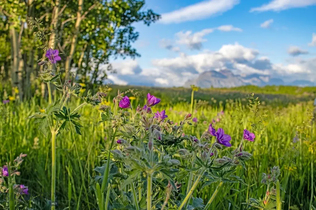 Tbd Highway 89 Browning MT 59417