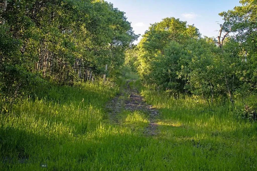 Tbd Highway 89 Browning MT 59417