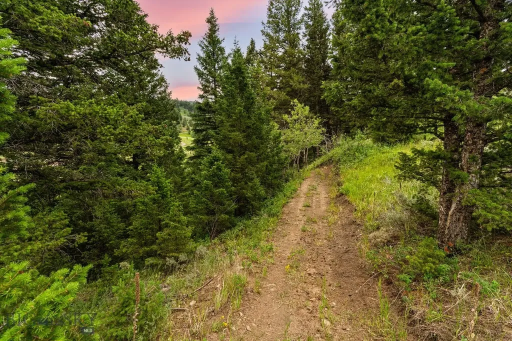 215 Timberline Creek Drive Bozeman MT 59715