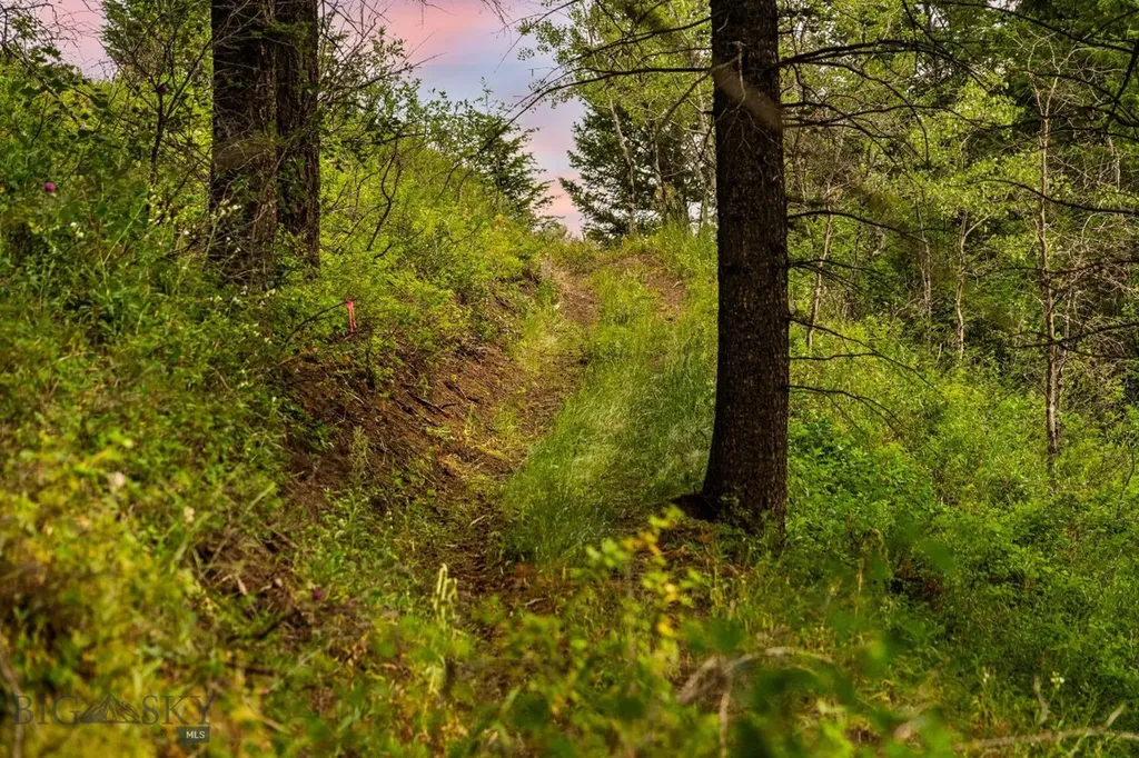 215 Timberline Creek Drive Bozeman MT 59715