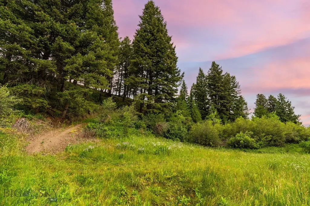 215 Timberline Creek Drive Bozeman MT 59715