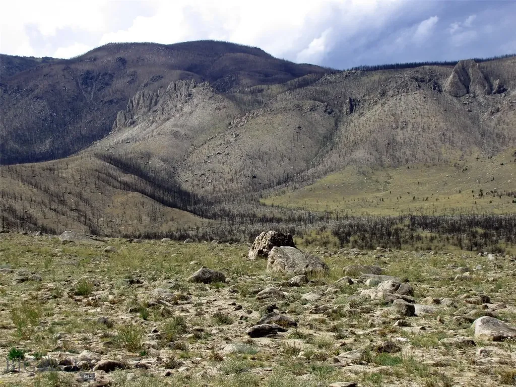 Tbd Ranger Way Red Lodge MT 59068