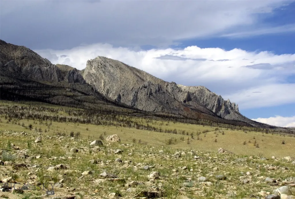 Tbd Ranger Way Red Lodge MT 59068