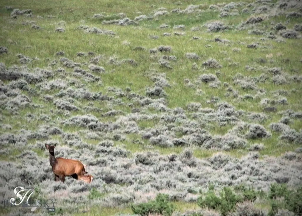 Tbd Ranger Way Red Lodge MT 59068