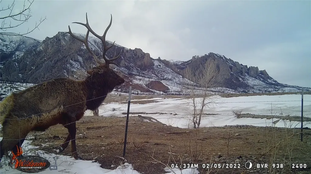Tbd Ranger Way Red Lodge MT 59068