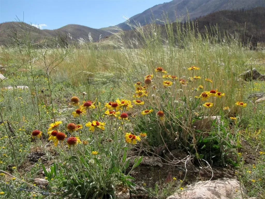 Tbd Ranger Way Red Lodge MT 59068