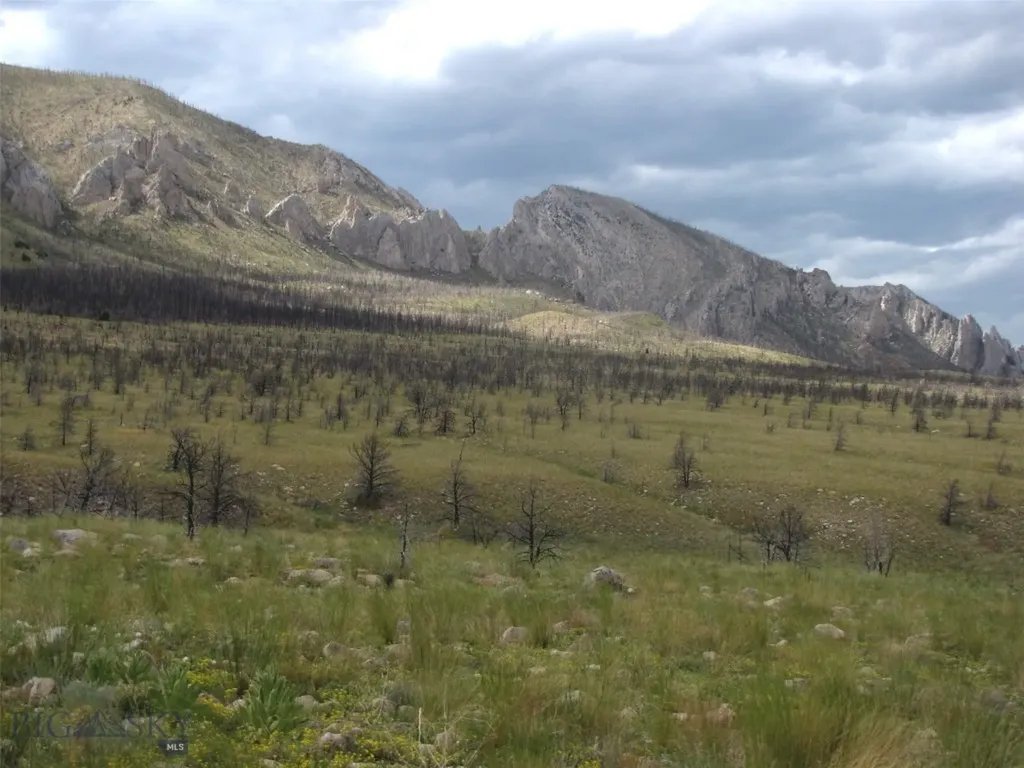 Tbd Ranger Way Red Lodge MT 59068