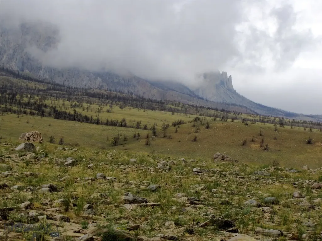 Tbd Ranger Way Red Lodge MT 59068