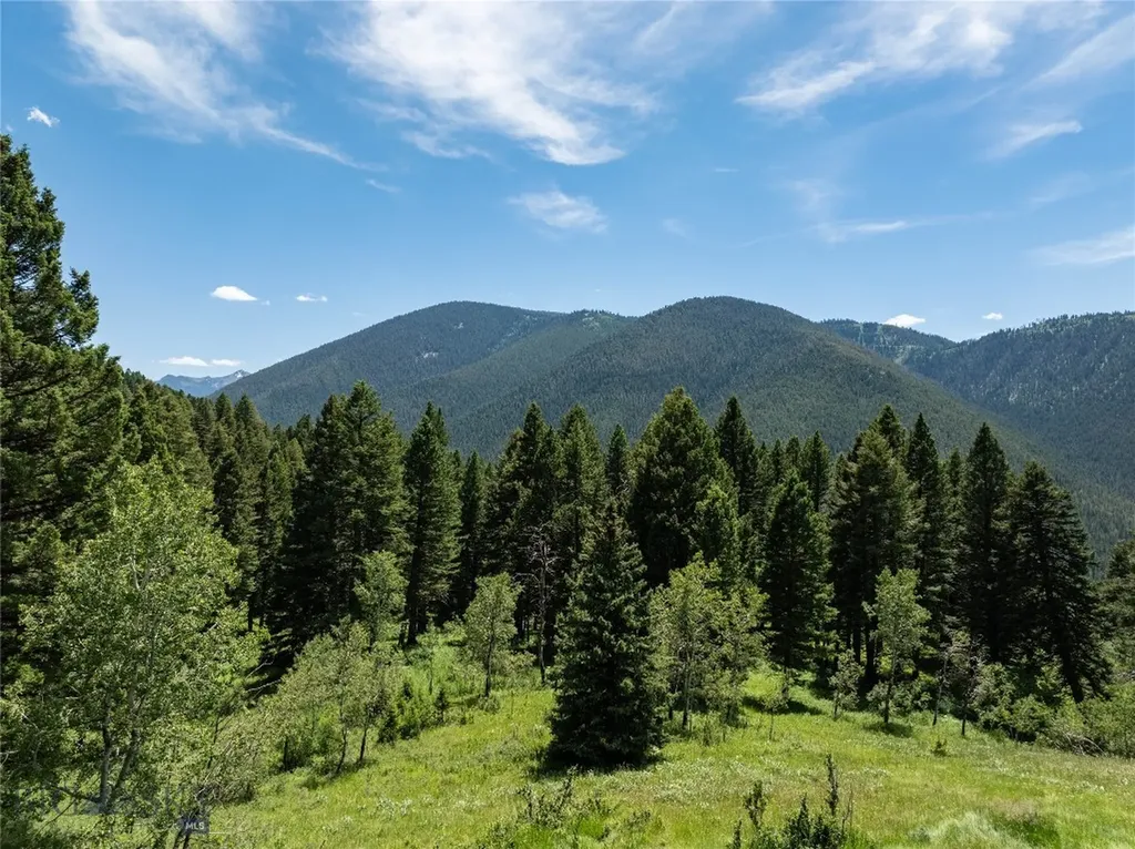 4195 Cottonwood Ranch Trail Bozeman MT 59718