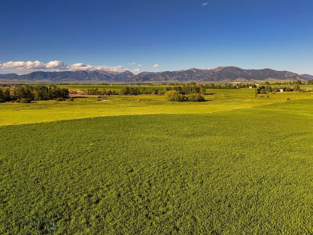 Tbd Love Lane Bozeman MT 59718