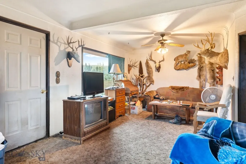 10 Chesapeake Drive Livingston MT 59047