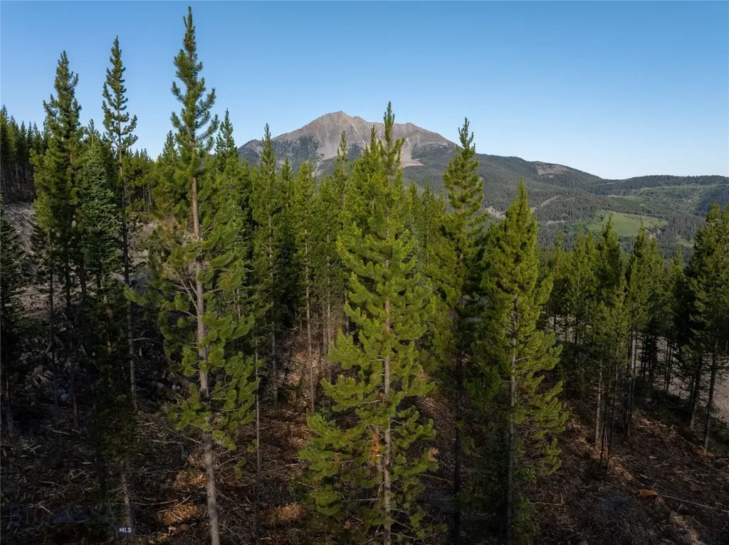 Tbd Sawtooth Road Big Sky MT 59716