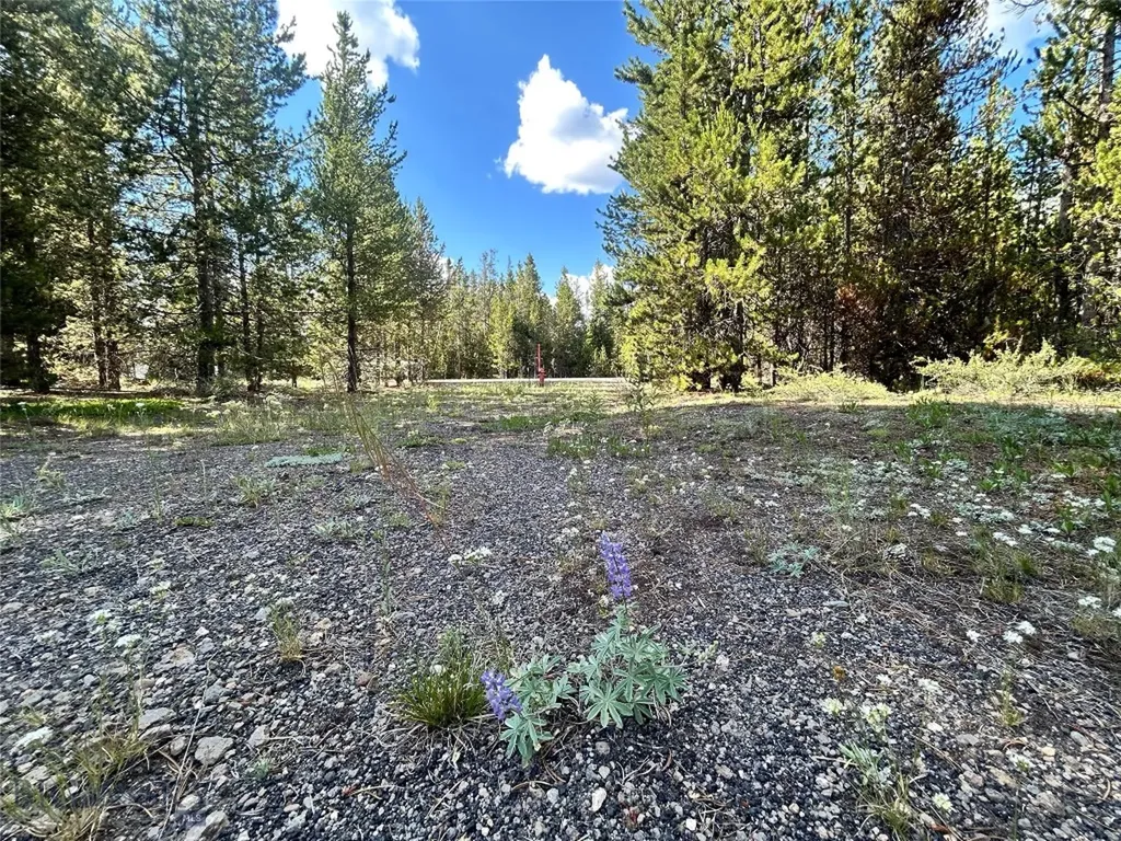 518 Apollinaris West Yellowstone MT 59758