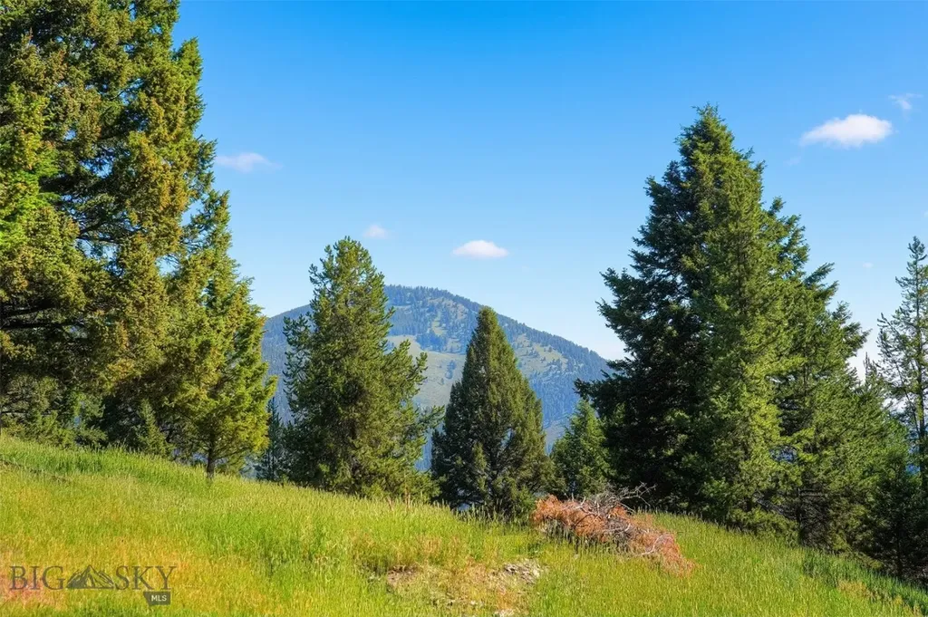 Tbd Colters Run Big Sky MT 59730