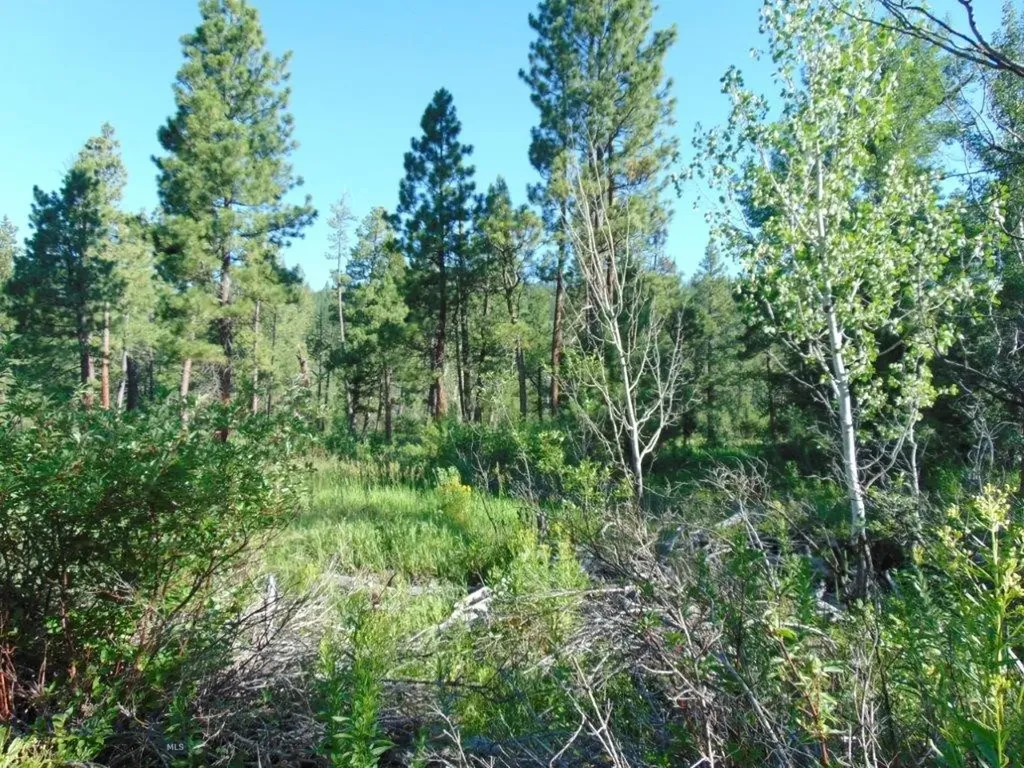 4615 Abe Lincoln Lincoln MT 59639
