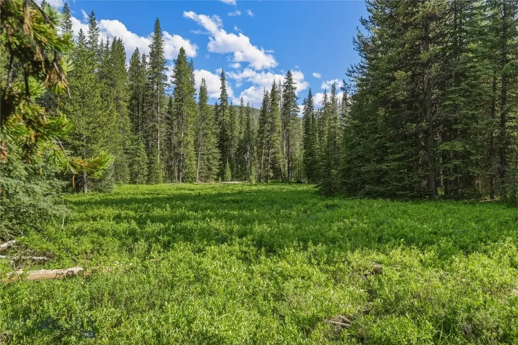 383 Red Lion Road Anaconda MT 59711
