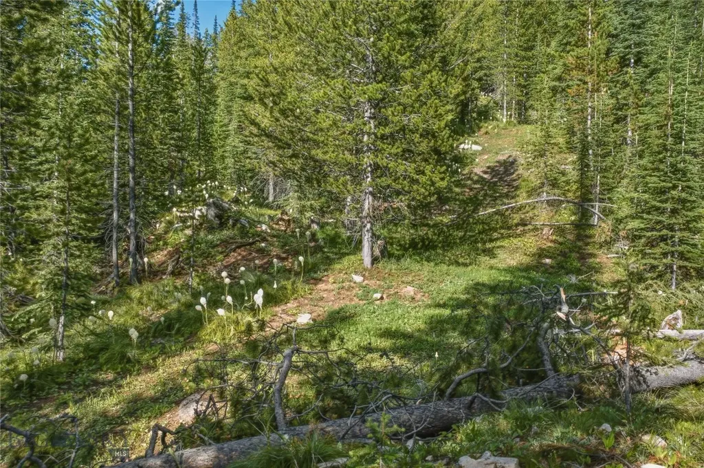 383 Red Lion Road Anaconda MT 59711