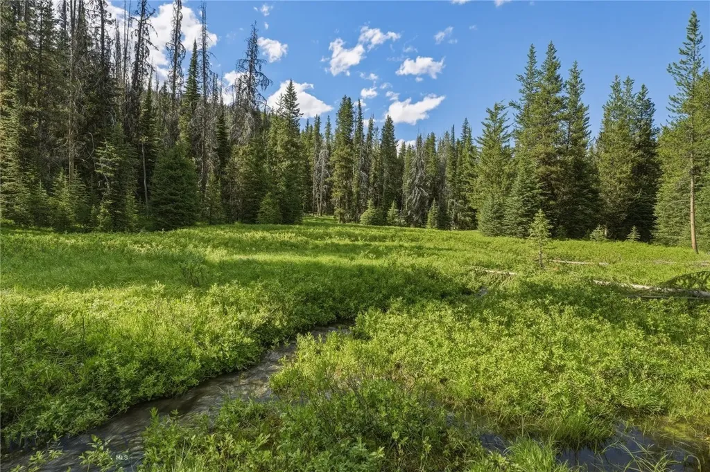 383 Red Lion Road Anaconda MT 59711