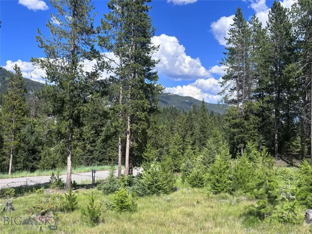 566 Antler Ridge Big Sky MT 59716