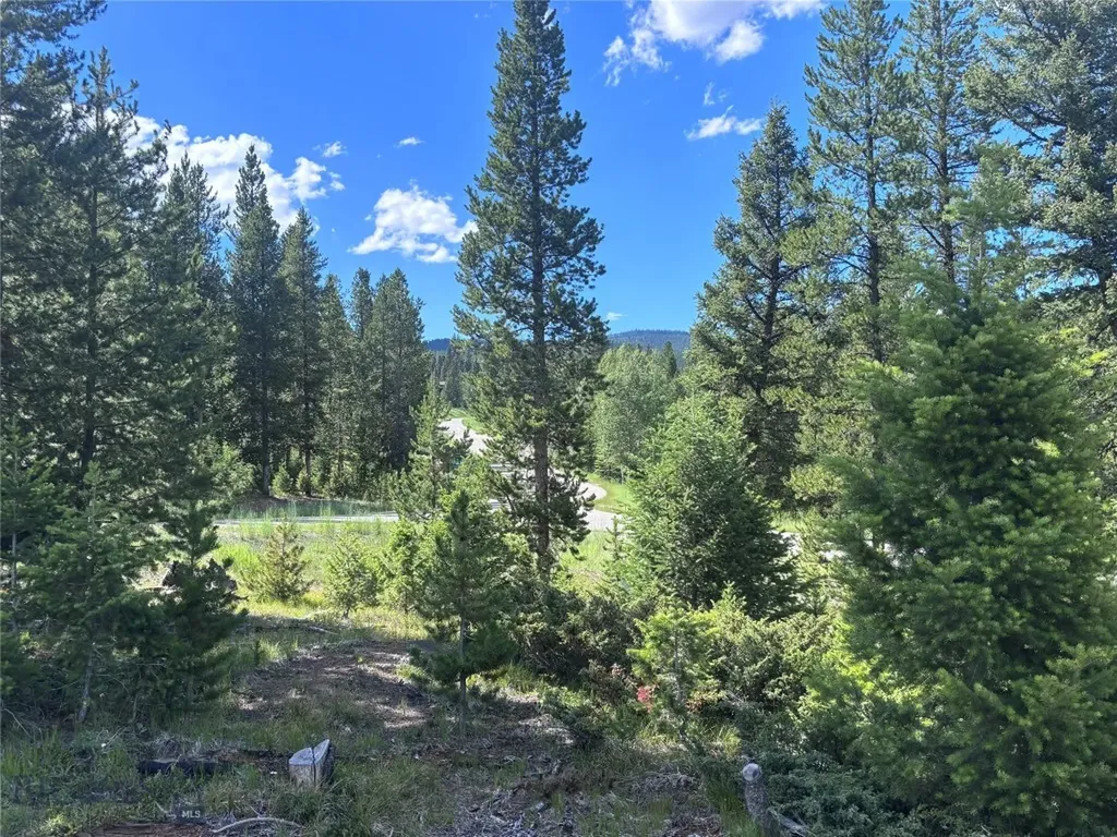 566 Antler Ridge Big Sky MT 59716