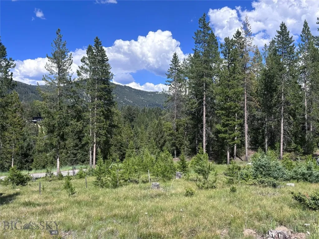 566 Antler Ridge Big Sky MT 59716
