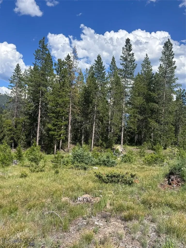 566 Antler Ridge Big Sky MT 59716
