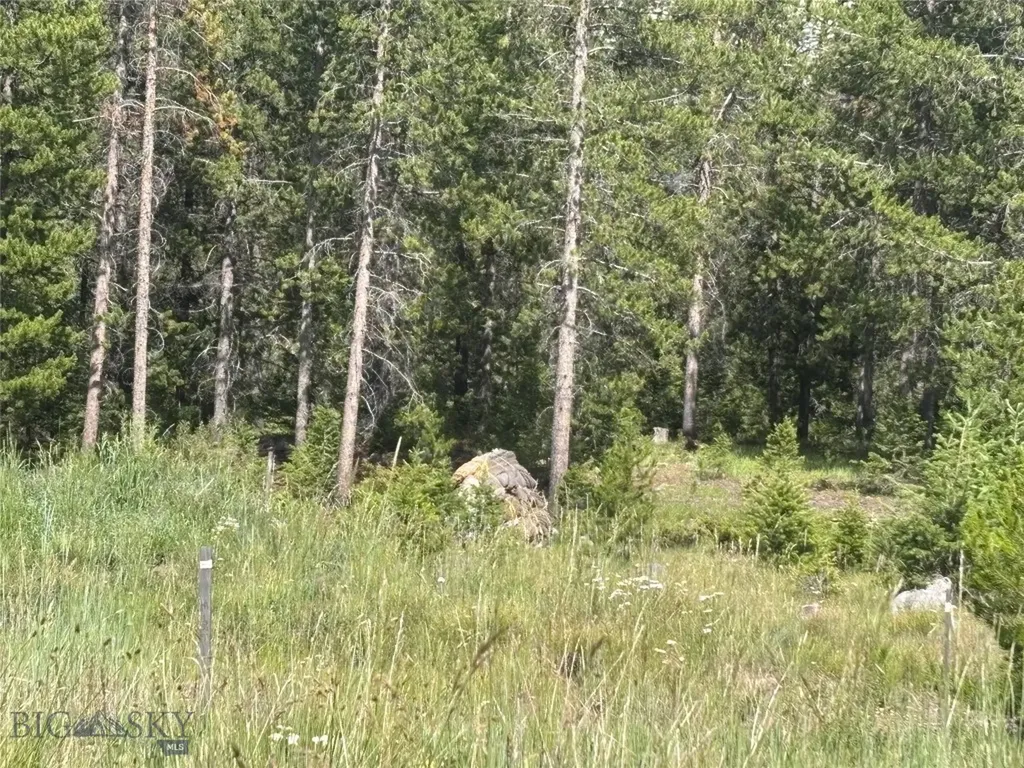 566 Antler Ridge Big Sky MT 59716