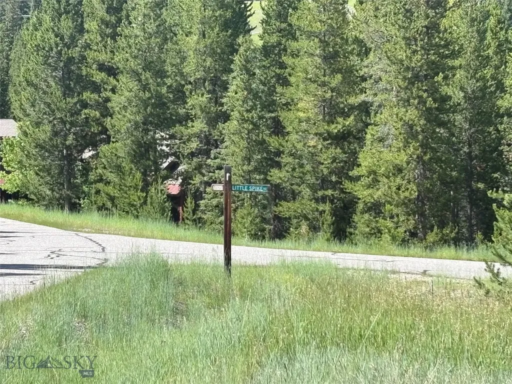 566 Antler Ridge Big Sky MT 59716